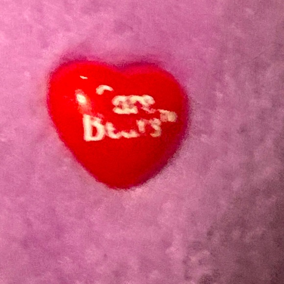 •Lot Of 2 Care Bear Plushies • - Picture 7 of 10